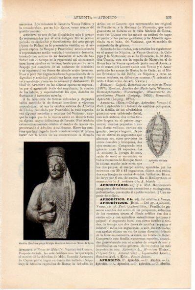 LAMINA ESPASA V52172: Afrodita, Museo de Lyon