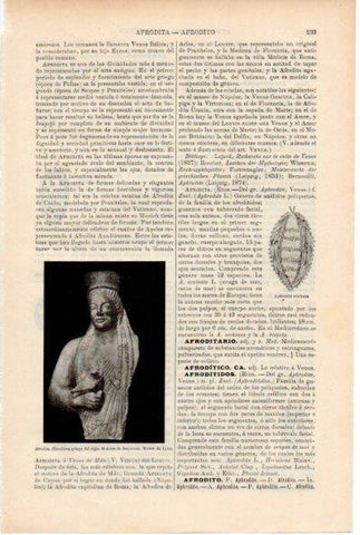LAMINA ESPASA V52172: Afrodita, Museo de Lyon