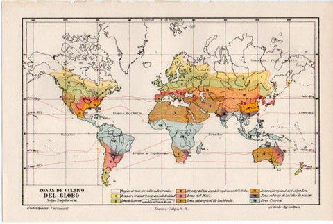 LAMINA ESPASA V52197: Mapa mundial de zonas de cultivo