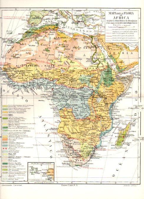 LAMINA ESPASA V52293: Mapa de la flora de Africa
