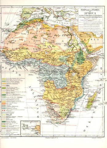 LAMINA ESPASA V52293: Mapa de la flora de Africa