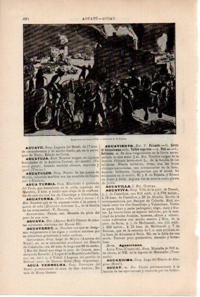 LAMINA ESPASA V52222: Agua-tinta de Pacini 1762