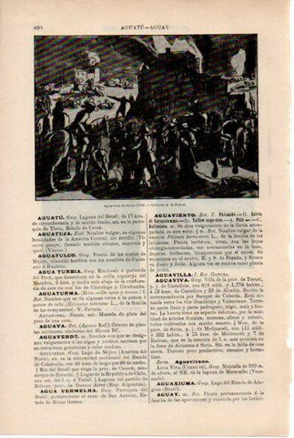LAMINA ESPASA V52222: Agua-tinta de Pacini 1762