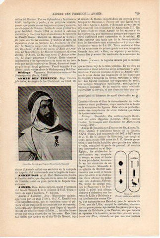 LAMINA ESPASA V52247: Ahmer Ben Ferruch por Pingret