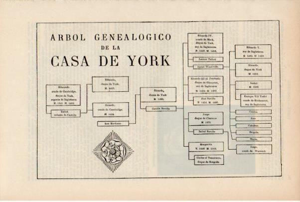 LAMINA ESPASA V51931: Arbol genealogico de la Casa de York