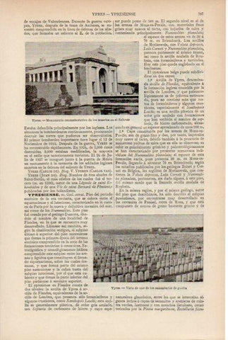 LAMINA ESPASA V51925: Monumento de los muertos en el Saliente, Ypres Belgica