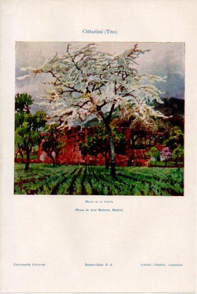 LAMINA ESPASA V52060: Marzo en la huerta por Tito Cittadini
