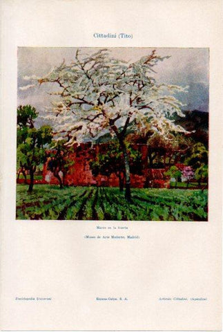 LAMINA ESPASA V52060: Marzo en la huerta por Tito Cittadini
