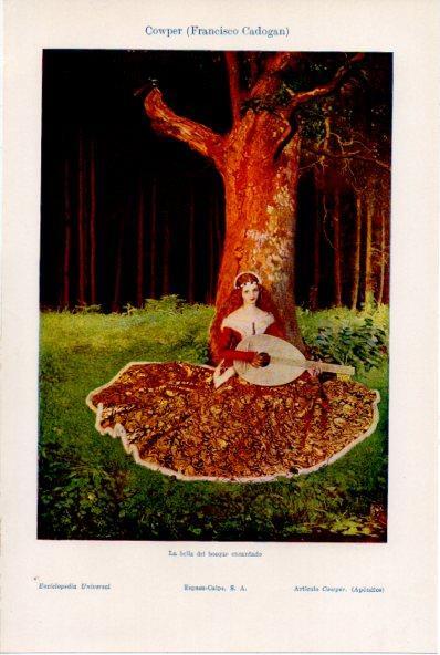 LAMINA ESPASA V52091: La bella del bosque encantado por F. Cadogan Cowper