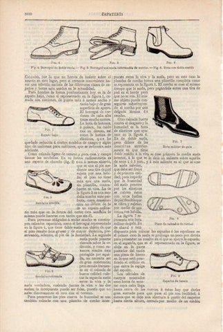 LAMINA ESPASA V51992: Tipos de zapatos
