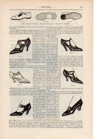 LAMINA ESPASA V51991: Tipos de zapatos de mujer