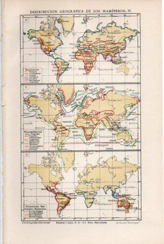LAMINA ESPASA V52024: Distribucion geografica de los mamiferos mapas del mundo IV