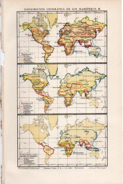LAMINA ESPASA V52023: Distribucion geografica de los mamiferos mapas del mundo III
