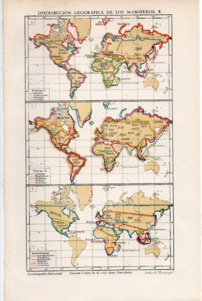 LAMINA ESPASA V52017: Distribucion geografica de los mamiferos mapas del mundo II