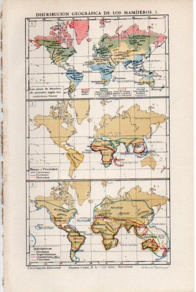 LAMINA ESPASA V52016: Distribucion geografica de los mamiferos mapas del mundo I