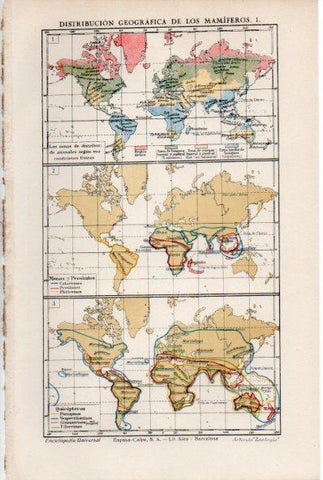 LAMINA ESPASA V52016: Distribucion geografica de los mamiferos mapas del mundo I
