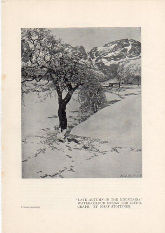 LAMINA V51957: Late autum in the mountains by Josef Stoizner