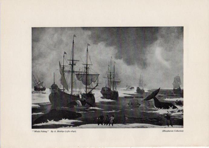 LAMINA V51878: Whale Fishing bay A. Matthys