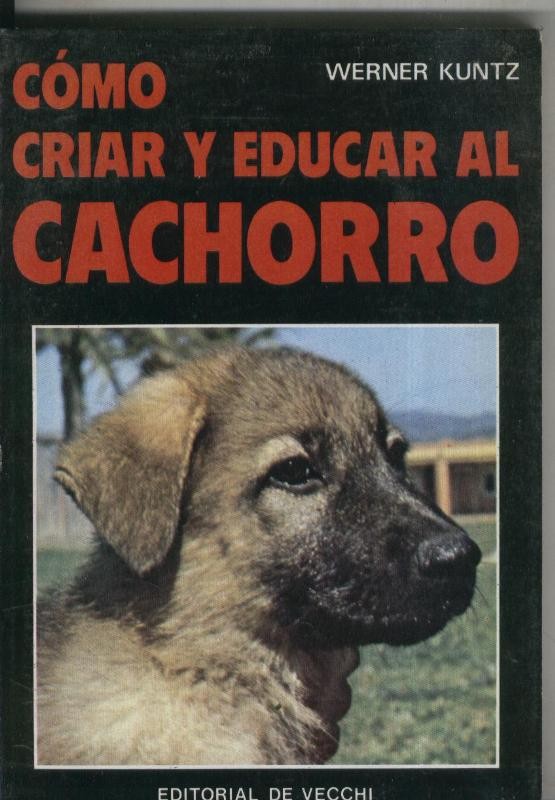 Como criar y educar al cachorro