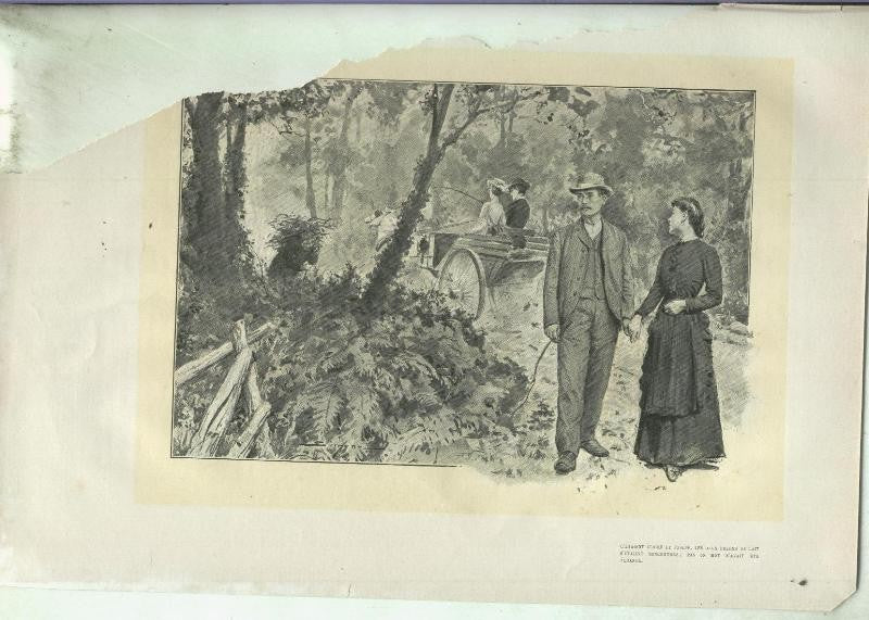 Lamina ilustrador Simmon numerada 31