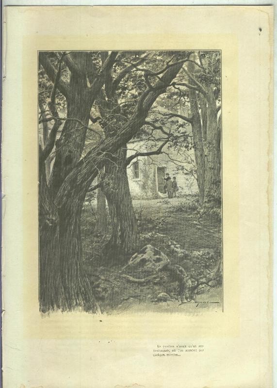 Lamina ilustrador Simonn numerada 65