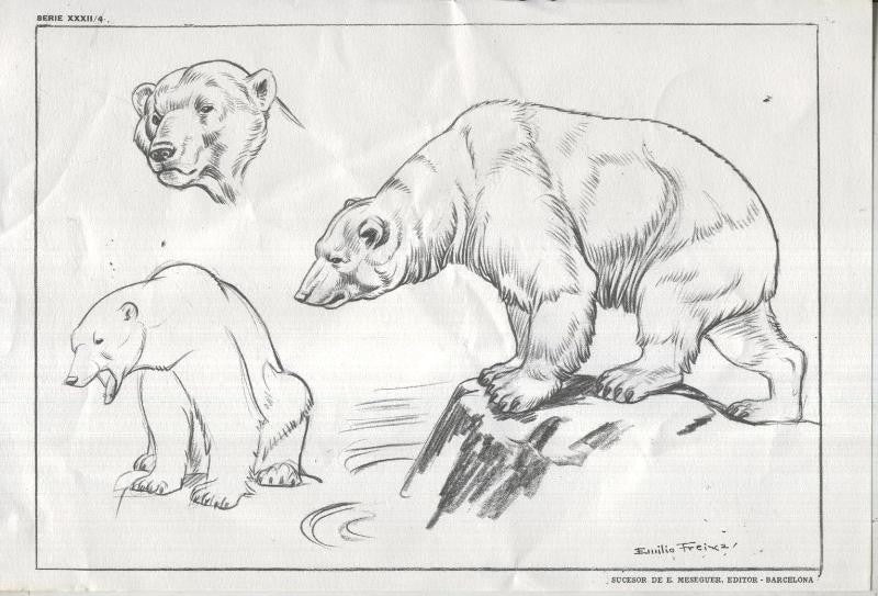 Lamina Emilio Freixas numerada 04: Oso polar