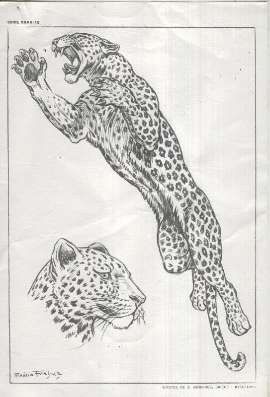 Lamina Emilio Freixas numerada 12: Leopardo