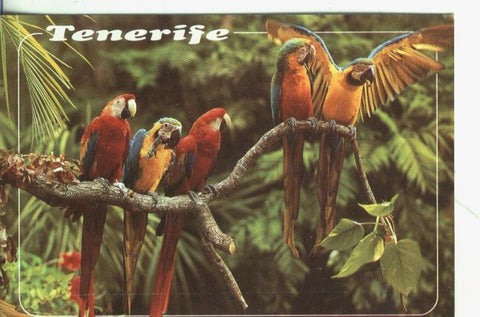 Postal: Tenerife: Loros