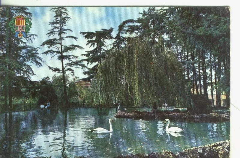 Postal: Tarrassa: parque municipal