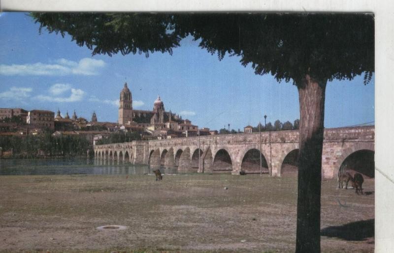 Postal:  Salamanca: Puente Romano