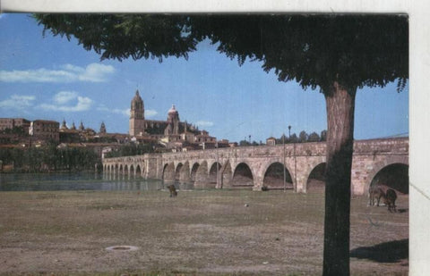 Postal:  Salamanca: Puente Romano