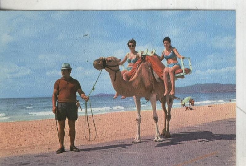 Postal: Mallorca 
