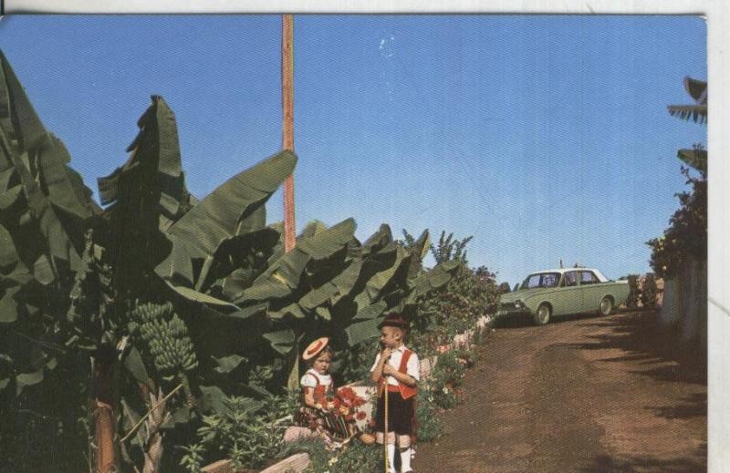 Postal: Tenerife: Rincon tipico
