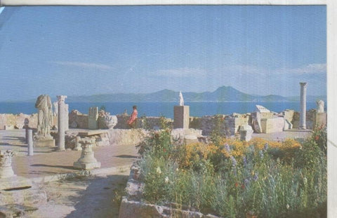 Postal: Vue generale de l,Antiquarium