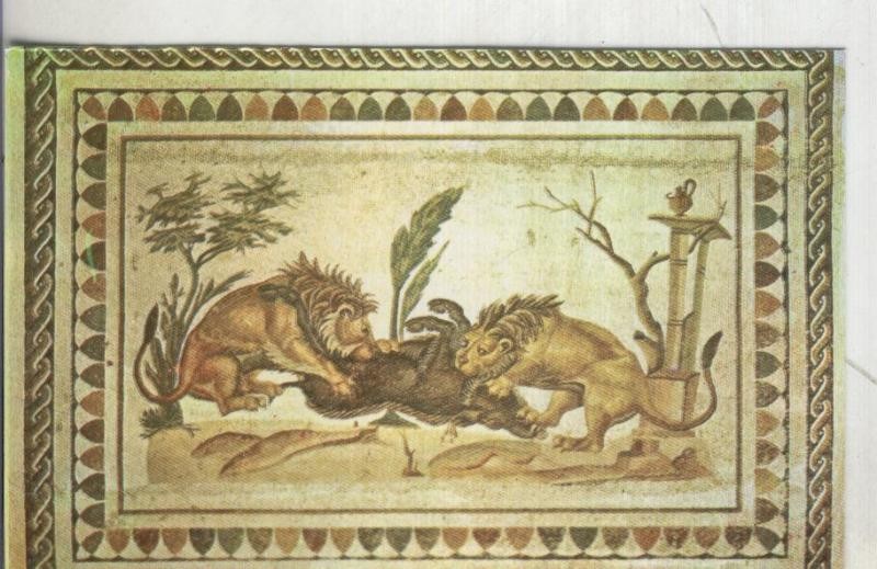Postal: Musee del Jem