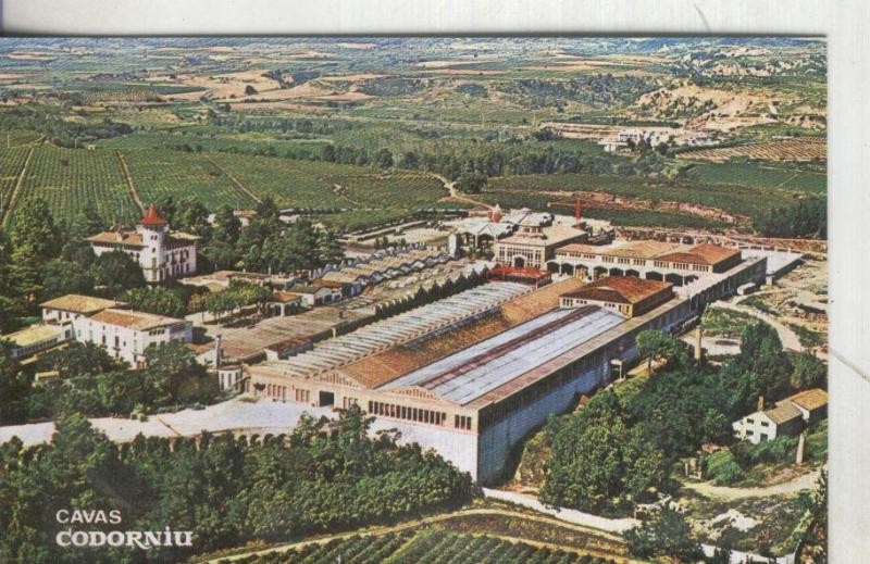 Postal: Cavas Cordoniu