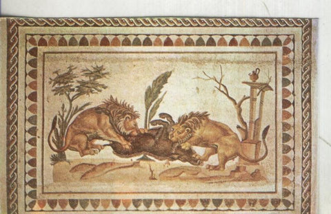Postal: Musee National du Barco: Lions devorant un sanglier