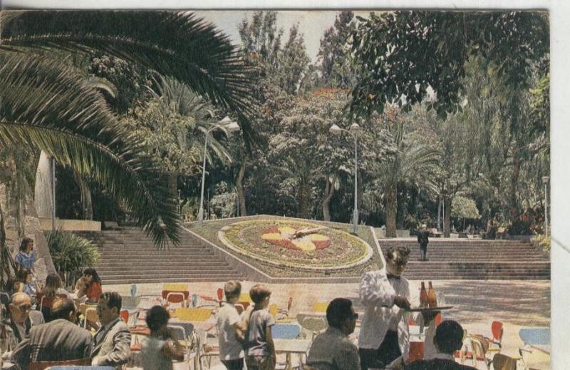 Postal: Santa Cruz de Tenerife: Parque Municipal