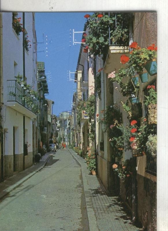 Postal: Arbucias: Carrer del sorrall