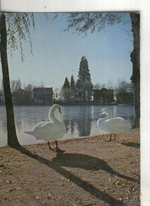Postal:  Puigcerda: Lago