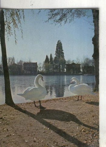Postal:  Puigcerda: Lago