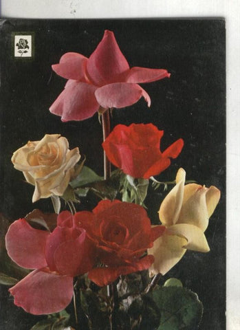 Postal: Coleccion Flores