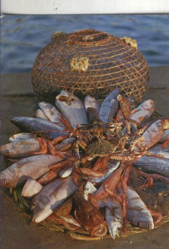 Postal: Panera tipica de pescado
