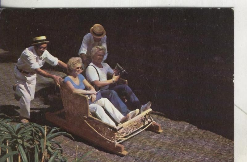 Postal: Madeira: Carro de Cesto