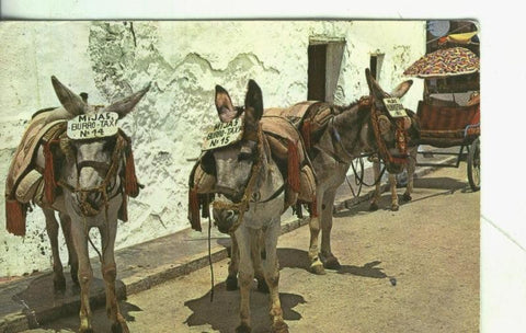 Postal: Malaga: Mijas: Parada de burros