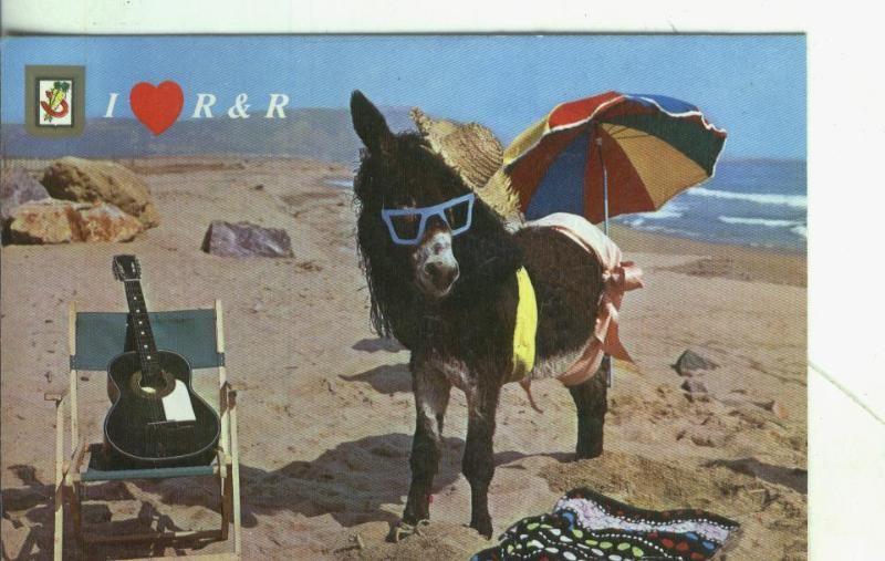 Postal: Animales comicos