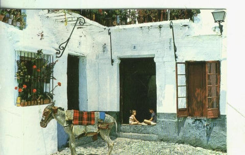 Postal: Costa del Sol: Calle tipica