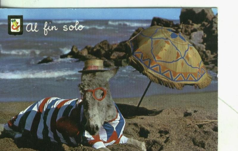 Postal: Animales comicos