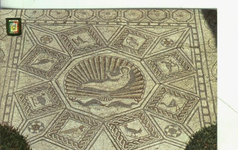 Postal: Malaga: Museo bellas artes: Nacimiento de Venus