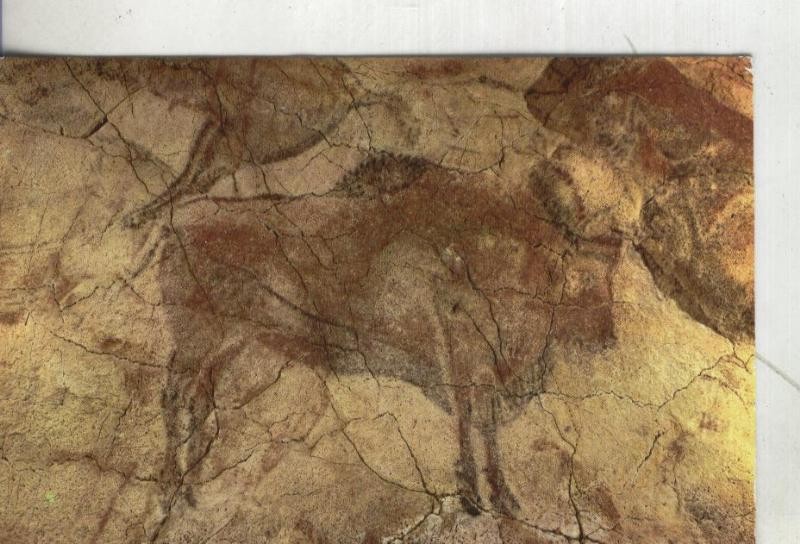 Postal 4005 : Cueva de Altamira: Bisonte